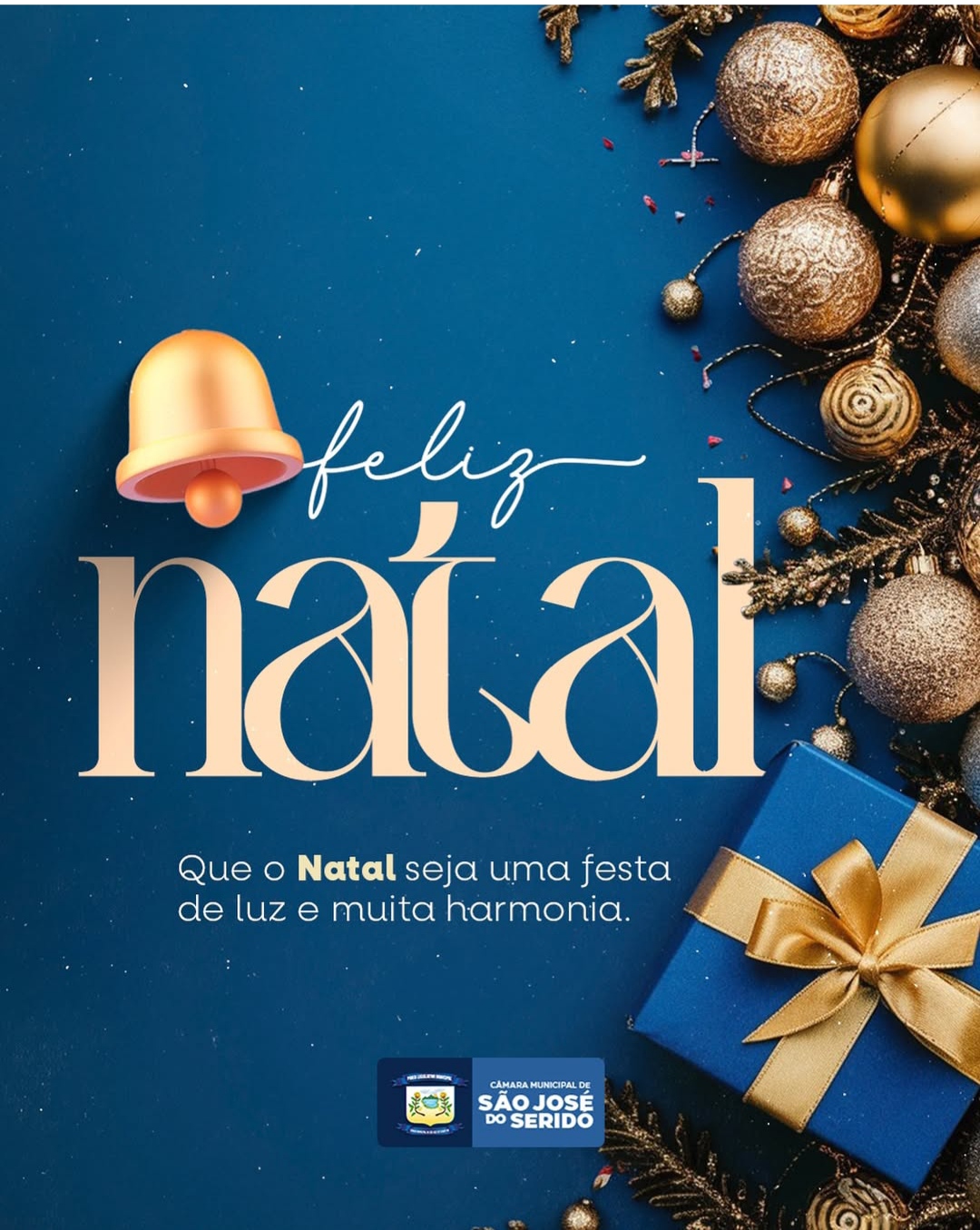 A Câmara Municipal deseja a todos "Feliz Natal"